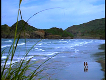 Xena film locations - Bethells Beach - Miss Amphipolis